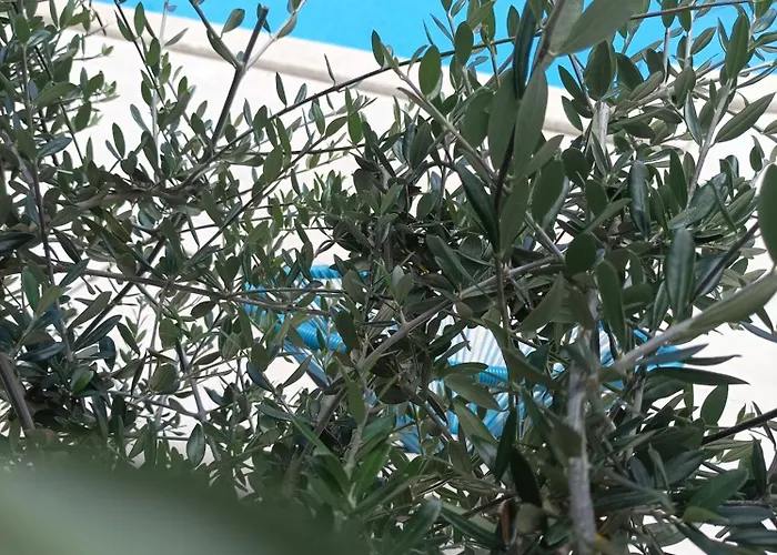 House Monte Cherpo Pola